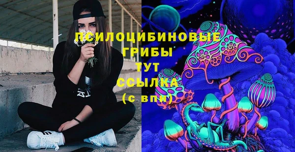 а пвп мука Верхний Тагил
