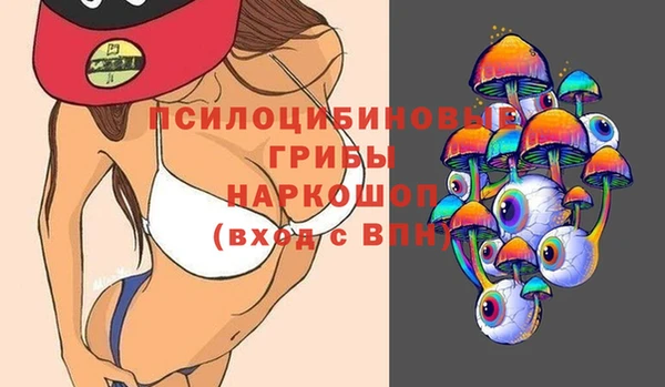 прущие крисы Верея