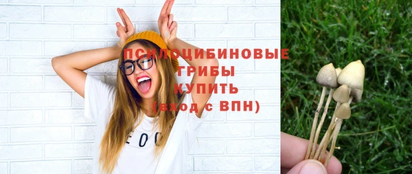 прущие крисы Верея