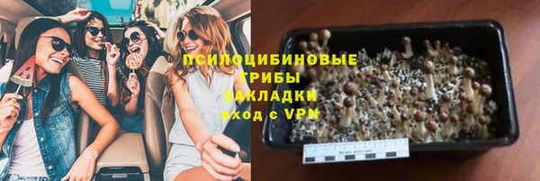 а пвп мука Верхний Тагил