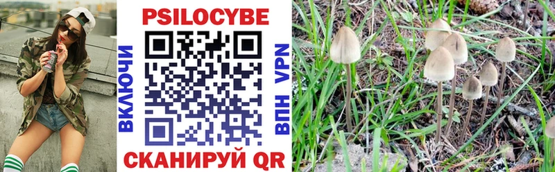 blacksprut tor  Самара  Галлюциногенные грибы прущие грибы 